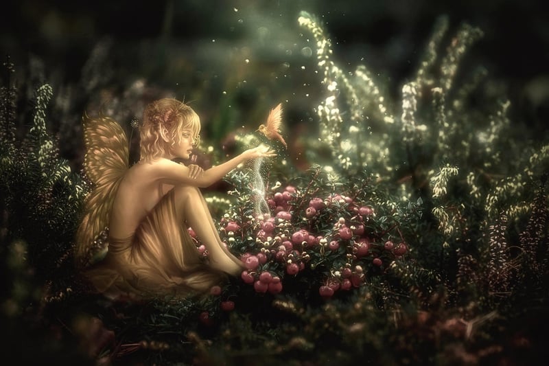 Folklore Wonders